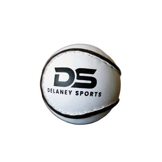 Delaney Sports Sliotar